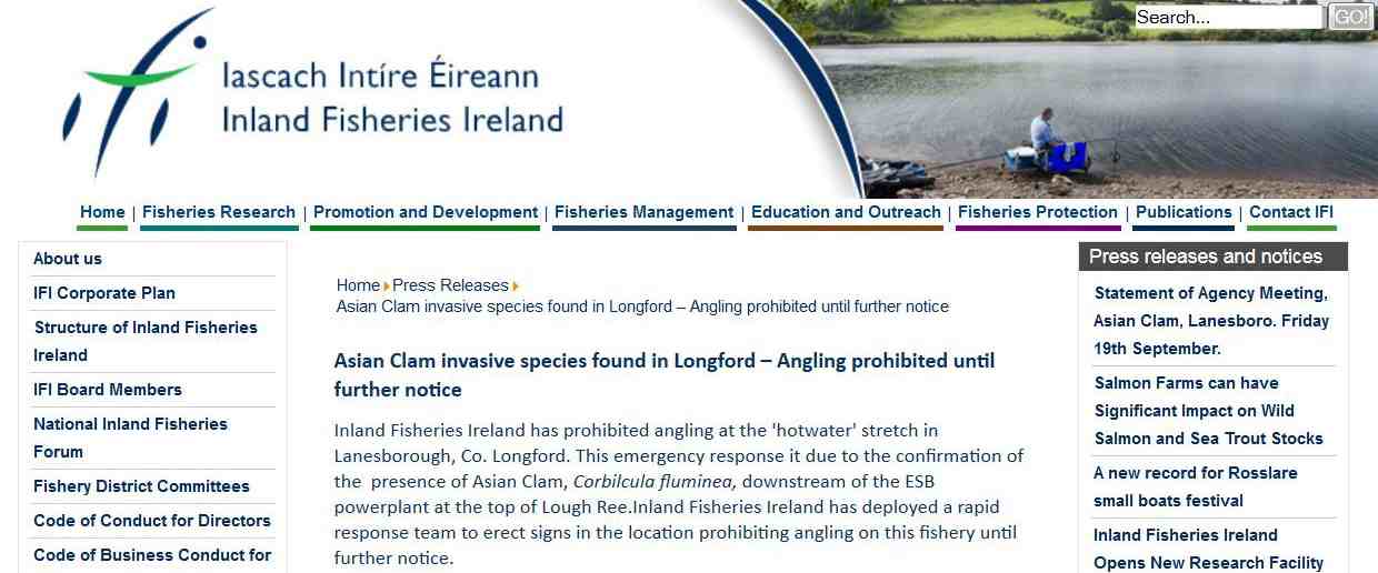 Asian Clam; © Inland Fisheries Ireland; click to article"Asian Clam {tab The latest invader}"