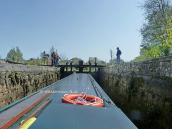 Finnery in Lock 28