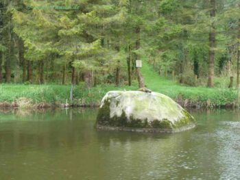 Big Rocks below Ballytiglea Lock