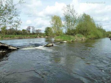 Current below Bagenalstown Lock