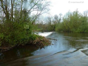 Entrance Bestfield Cut with Weir
