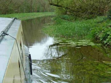 Entry into the Boris Cut