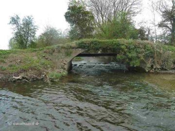 Estuary River Grease
