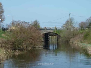 Finnery in Lock 27
