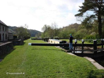 Finnery in the Carriglead Lock