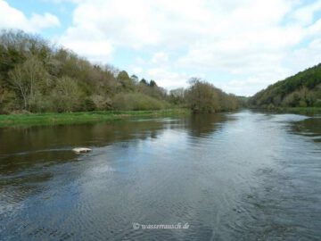 Finnery passes unprotected underwater Weir