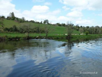 Finnery passes unprotected underwater Weir