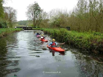 In the Ballykennan Cut, meeting again with the kayakers