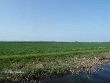 Landscape before Athy