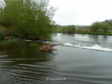 Lower Ballyellen Weir