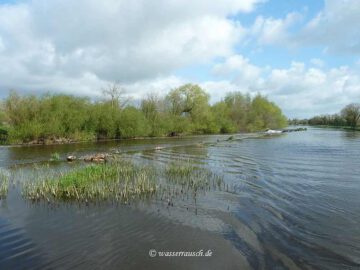Maganey weir passes
