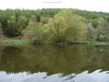 Mirrored Bank below Ballingrane Lock