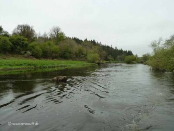 Rocks below Ballytiglea Lock