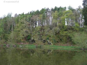 The banks of the Barrow near Graiguenamanagh