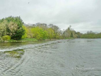 Upper Ballyellen Weir view from behind