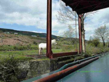 St. Mullins monastic settlement