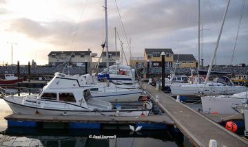 Fenit Marina; © Paul Scannell; CCO Part 3