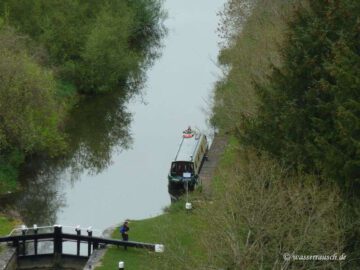 Finnery and the Captain alone
