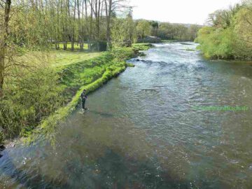Fly fishing in Milford current