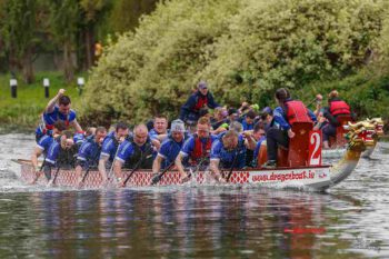 Dragon-Boat- Regatta; © dragondoat.ie